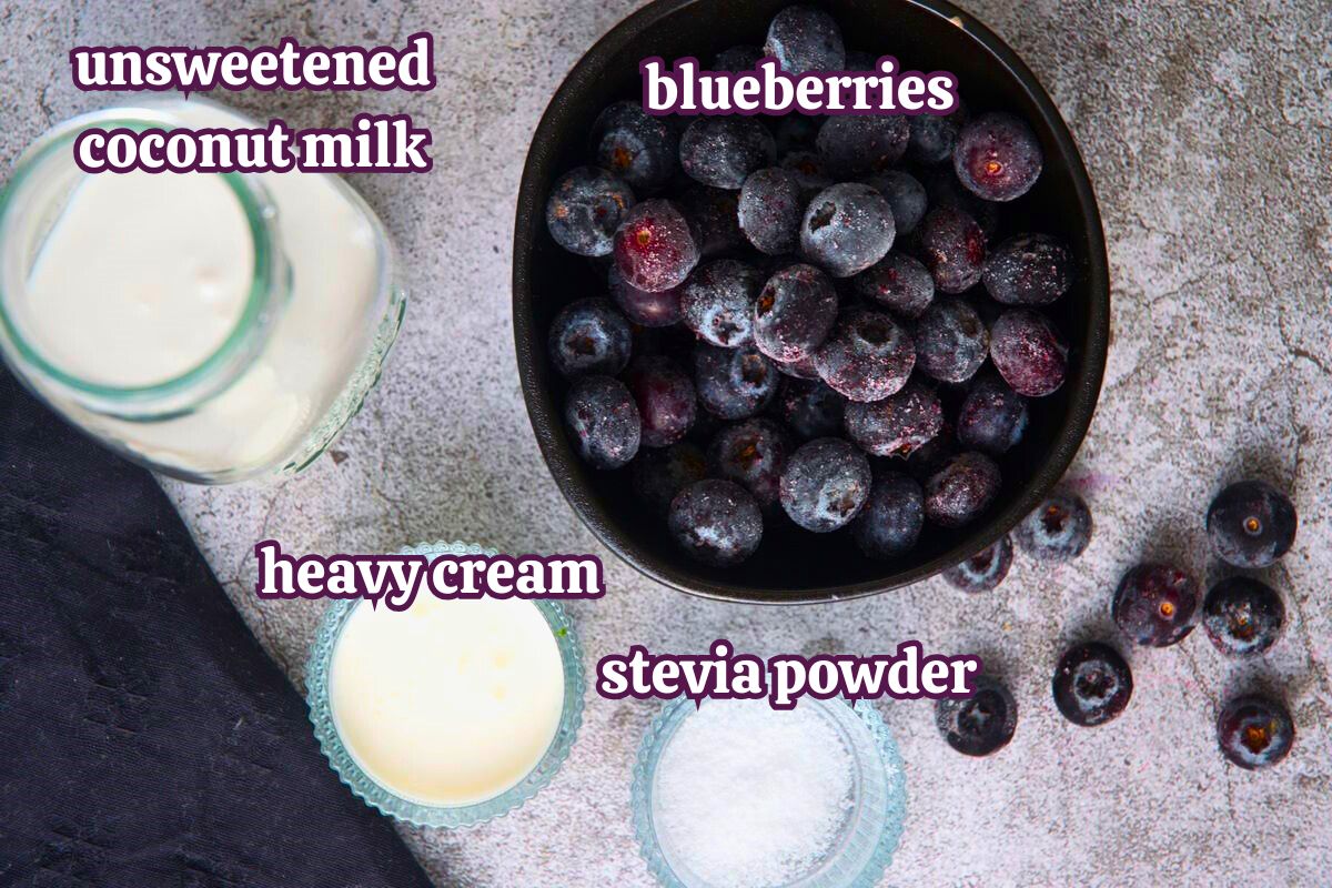 Blueberry keto smoothie ingredients labeled.