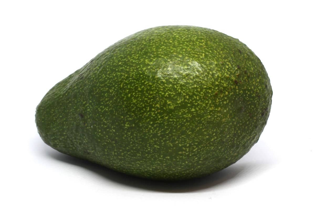 Green avocado isolated on white background.